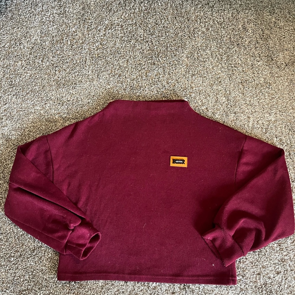 Artic BESR cropped turtleneck